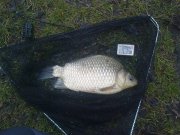 20150418104528.jpg
