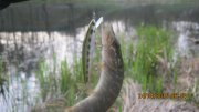 IMG_0141.JPG