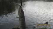 IMG_0142.JPG