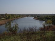 Копия P4250027.JPG