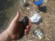 20150426_112438.jpg