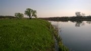 WP_20150426_001.jpg