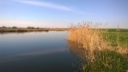 WP_20150426_002.jpg