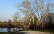 SDC10502a.jpg
