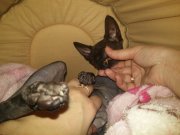 20150305_230816.jpg