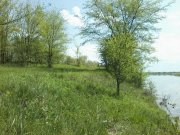 P01-05-15_12.00.jpg