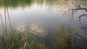 WP_20150501_001.jpg