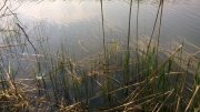 WP_20150501_002.jpg