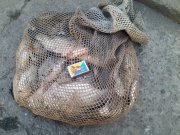 IMG_20100102_144137.jpg