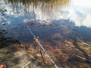 IMG_20100102_120435.jpg