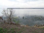 SAM_0477.JPG