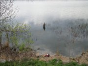 SAM_0478.JPG
