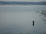 SAM_0480.JPG