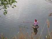 SAM_0483.JPG