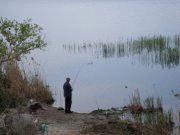SAM_0484.JPG