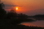 IMGP8396_resize.jpg