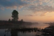 IMGP8976_resize.jpg