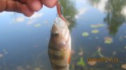 IMG_0152.JPG