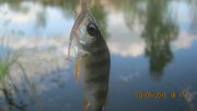 IMG_0155.JPG