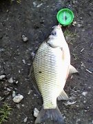 IMG_20150504_102655.jpg