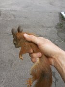 20150505_094315.jpg