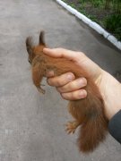 20150505_094427.jpg