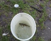 IMG0293A.jpg