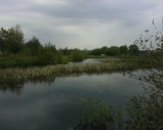 IMG0295A.jpg
