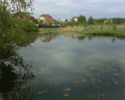 IMG0297A.jpg