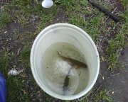 IMG0298A.jpg