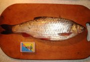 DSC01632.JPG