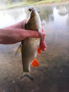 IMG_20150512_063609.jpg