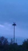 IMAG0545.jpg