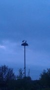 IMAG0544.jpg