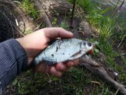20150511_131752.jpg