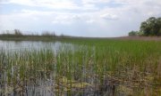 20150512_141738.jpg