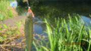 IMG_0159.JPG