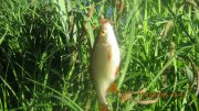 IMG_0161.JPG