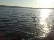 20150510_070524.jpg