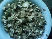 IMG0192A.jpg