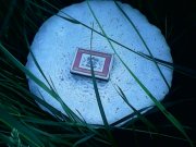 IMG0194A.jpg