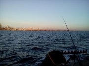 IMG_20150516_053342.jpg