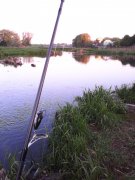IMG_20150519_055955.jpg