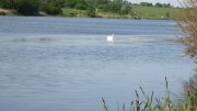 IMG_2690.jpg