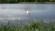 IMG_2694.jpg