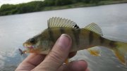 IMG_2699.jpg