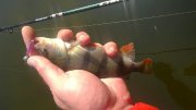 WP_20150520_006.jpg