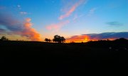 IMAG0243.jpg