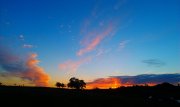 IMAG0245.jpg