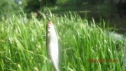 IMG_0164.JPG